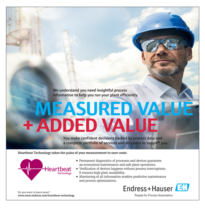 Endress Hauser Instruments International Ag Bahrain Bahrain