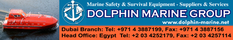 Dolphin Marine Group