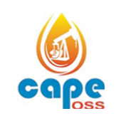 Cape Oilfield Supplies and Services LLC