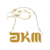 Ahmed Khalaf Al Mazroui Holding Companies